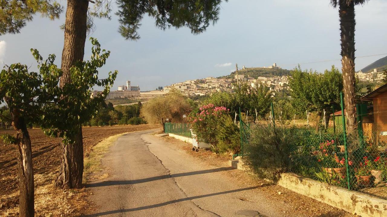 Camere Rosignoli Assisi Bagian luar foto